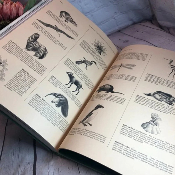 Vintage 1979 READER'S DIGEST MARVELS & MYSTERIES OF OUR ANIMAL WORLD - Picture 10 of 10